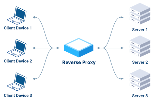 reverse proxy diagram